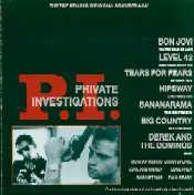 Private Investigations